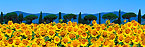 2001-200485-01