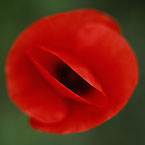 2001-219596-01