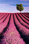 2001-248539-01