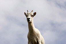 2027-200009-01
&copy; Ted Weiman