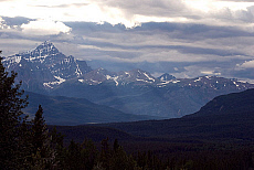 Canada, Banff National Park, evergreen forest.