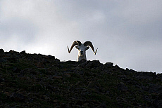 2027-200033-01
&copy; Ted Weiman