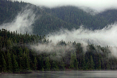 2027-200038-01
&copy; Ted Weiman