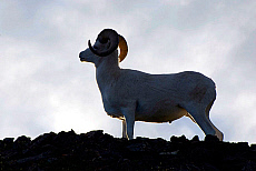 2027-200041-01
&copy; Ted Weiman