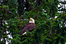 2027-200051-01
&copy; Ted Weiman