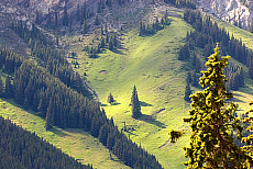 2027-200059-01
&copy; Ted Weiman