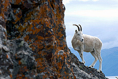2027-200081-02
&copy; Ted Weiman