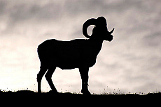 2027-200087-01
&copy; Ted Weiman