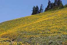 2027-200100-01
&copy; Ted Weiman