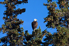 2027-200109-01
&copy; Ted Weiman