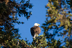 2027-200120-02
&copy; Ted Weiman