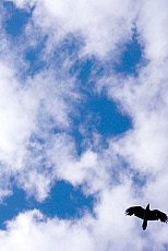 2027-200153-01
&copy; Ted Weiman