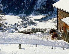 2001-212221-01 &copy; eStock Austria, Grossglockner, farm on Molltal.