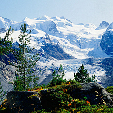 2001-212225-01 &copy; eStock Switzerland, Graubunden, Morteratsch glacier towards Piz Bernina mountain.