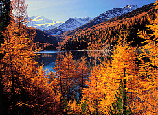 2001-212242-01 &copy; eStock Italy, Trentino, Bolzano, Vinschgau Valley, Parco Nazionale dello Stelvio, Val Martello (Martelltal), Lago di Gioveretto (Zufritt See) towards Cevedale (Zufall Spitze).