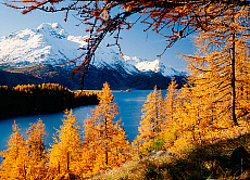 2001-212244-01 &copy; eStock Switzerland, Graubunden, Endgadin, Lake Silvaplana and Piz la Margna mountain.