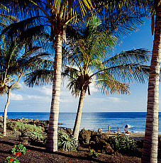 2001-212280-01 &copy; eStock Canary Islands, Lanzarote, Puerto del Carmen, beach.