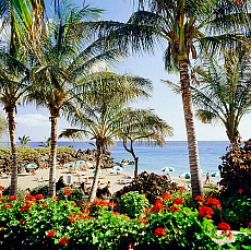 2001-212281-01 &copy; eStock Canary Islands, Lanzarote, Beach.